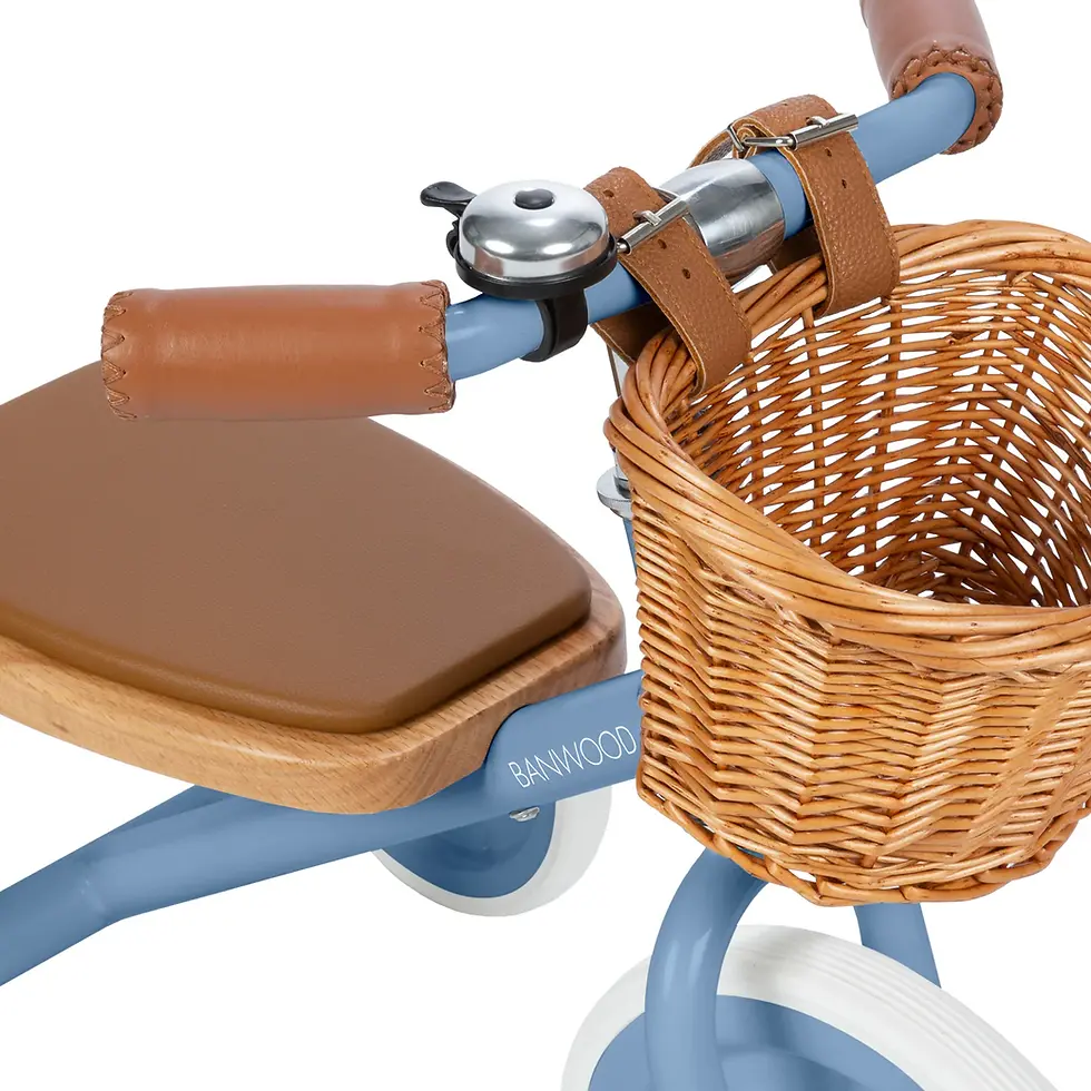 Thumbnail: Trike Vintage Banwood -Powder Blue
