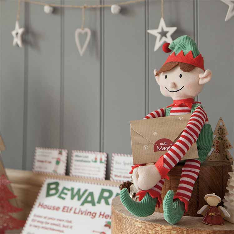 Thumbnail: Elf for Christmas Boy & Magical Reward Kit
