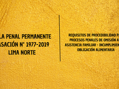 Requisitos de procedibilidad para procesos penales de omisión a la asistencia familiar