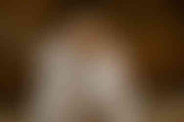 Hochzeitsfotograf Rettungsturm Binz – Hochzeitsshooting Rügen – Hochzeitsfotograf Göhren – freie Trauung Ostsee – Strandhochzeit Sellin – Hochzeit im Herrenhaus Bothmer – Fotograf Trauung Schloss Ralswiek – Hochzeitsfotograf Gutshaus Krimvitz– Hochzeitsplaner Rügen – Heiraten am Kap Arkona – Hochzeitsfotografie Ummanz – Trauung Kurhaus Binz – Monique Krüger Fotografie