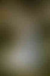 Hochzeit auf dem Lande in MV – Fotograf für Landhochzeit bei Rostock – Heiraten auf Gut Landsdorf nahe Tribsees – Hochzeitslocation auf dem Land – Hochzeitsfotografin für gefühlvolle Reportage – Hochzeitsfotos bei Rostock zum Träumen – rustikale Hochzeitsdekoration MV – Hochzeitsplanung für Scheune bei Rostock