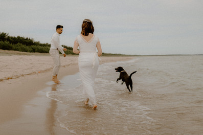 Hochzeit mit Hund auf Fischland Darß. Heiraten mit Fellnase an der Ostsee in Zingst, Ahrenshoop, Dierhagen.