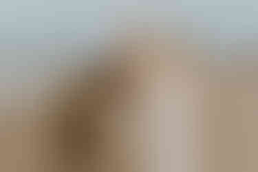 Hochzeitsfotografie Dierhagen: Liebevolles Paarshooting mit Kind zwischen Dünen und Ostseewind – authentische Erinnerungen in sanften Farben.