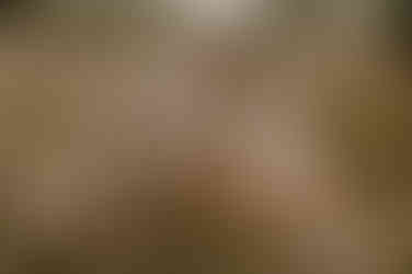 Familienfotograf Anklam – Familienshooting Lubmin – Fotograf Familien Grimmen – Babyfotograf Stavenhagen – Neugeborenenshooting Jarmen – Familienfotos Wolgast – Familienbilder Neukalen – Fotograf Babys Trassenheide – Familienfotograf Demmin - Neustrelitz