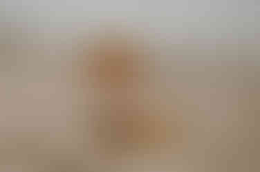 Fotograf Heringsdorf - Familienshooting Bansin - Fotoshooting Usedom - Familienfotos Ostsee - Fotograf Zinnowitz - Babyshooting Zempin - Babyfotograf Peenemünde - Kindershooting Ahlbeck - Ostseeurlaub Usedom - Kaiserbäder - Familienshooting Ostsee