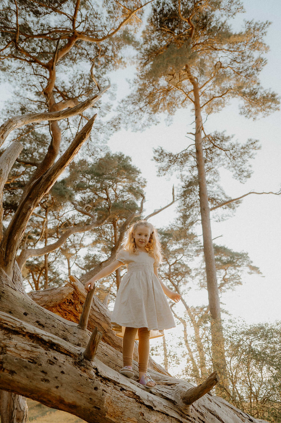 Familienfotograf in Rostock & Warnemünde: ein Mädchen klettert voller Freude einen Baumstammm hoch - Familienfotos im warmen, goldenen Licht.