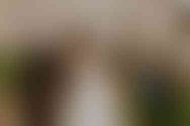 Fotograf begleitet freie Trauung im Gutshaus Poppendorf. Hochwertige Hochzeitsreportage in Mecklenburg Vorpommern. Landhochzeit in einem Gutshaus in MV. 