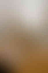 Hochzeitsfotograf Hiddensee - Hochzeitslocation - kleiner Prinz - Restaurant auf Hiddensee - Ostseeurlaub - Hochzeit zu Zweit Ruegen - Hochzeitsfotografie Vitte - Fotograf für Trauung Asta Nielsen Haus