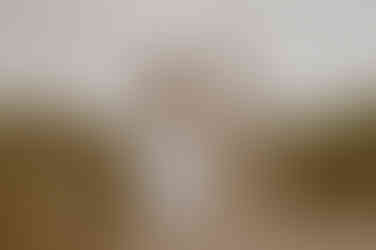 Paar läuft in Juliusruh den Strandaufgang entlang. Fotografin begleitet Pärchen an der Ostsee beim Fotoshooting.