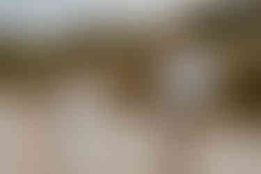 Gefühlvolle Hochzeitsfotografie Zinnowitz : Pärchen hält sich an den Händen und wirkt losgelöst und freudig.