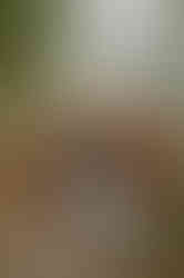 Hochzeitsshooting mit einem alten Feuerwehrauto bei Lubmin. Brautpaar schaut sich liebevoll in die Augen. 