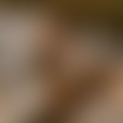 Familie lacht bei einem Fotoshooting in Bad Doberan unbeschwert. Fotograf begleitet Familien für ein Naturshooting in Bad Doberan und Umgebung.