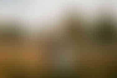 Hochzeitsfotograf in Rostock für freie Trauungen – Heiraten in der Küstenmühle Rostock – Hochzeitsfotografie im Schloss Schorssow – Brautpaarshooting am Hafen in Rostock – Fotograf für Hochzeitsreportage in Rostock – Fotograf für standesamtliche Hochzeit in Rostock