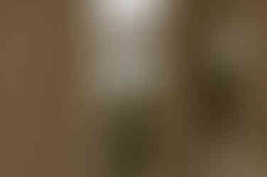 Freie Trauung Rostock – Strandhochzeit Fischlanddarß – Elopementhochzeit Rügen – Heiraten am Strand – Binz – Hochzeitsfotograf Warnemünde – Hochzeitsshooting Zingst – Hochzeit im Schloss Ulrichshusen – Mecklenburg Vorpommern – Hochzeitsfotografie – Hochzeitsplaner Insel Rügen – Brautstrauß Ahlbeck – Frisör Braut Rostock – freie Trauung Garten Stralsund – Hochzeitsfotos Neubrandenburg – Ostseehochzeit Kühlungsborn – Hochzeitsplanung Warnemünde