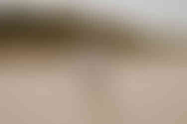 Paarshooting Usedom : Brautpaar spielt Fange am Strand in Zempin. Es ist ein sonniger Tag auf Usedom.