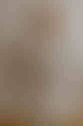 Freie Trauung Rostock – Strandhochzeit Fischlanddarß – Elopementhochzeit Rügen – Heiraten am Strand – Binz – Hochzeitsfotograf Warnemünde – Hochzeitsshooting Zingst – Hochzeit im Schloss Ulrichshusen – Mecklenburg Vorpommern – Hochzeitsfotografie – Hochzeitsplaner Insel Rügen – Brautstrauß Ahlbeck – Frisör Braut Rostock – freie Trauung Garten Stralsund – Hochzeitsfotos Neubrandenburg – Ostseehochzeit Kühlungsborn – Hochzeitsplanung Warnemünde