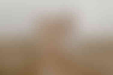 Fotoshooting Zingst – Ostseeurlaub Fischland Darß – Familienfotos Bentwisch – Familienfotograf Rostock – Fotoshooting an der Ostsee – Prerow – Kinderfotograf Barth – Familienportraits Bad Sülze – Monique Krüger Fotografie – Familienbilder Wustrow – Fotograf für Familien – Rövershagen – Fotoshooting Natur Marlow