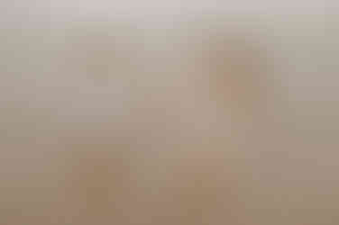 Fotoshooting Zingst – Ostseeurlaub Fischland Darß – Familienfotos Bentwisch – Familienfotograf Rostock – Fotoshooting an der Ostsee – Prerow – Kinderfotograf Barth – Familienportraits Bad Sülze – Monique Krüger Fotografie – Familienbilder Wustrow – Fotograf für Familien – Rövershagen – Fotoshooting Natur Marlow