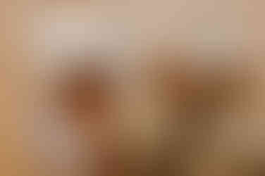 Hochzeitspaar und deren Gäste bei einer Trauung im Stralsunder Rathaus. 