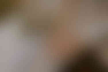 Details am Hochzeitstag in Anklam : Pärchen hält Händchen auf einer Bank. 