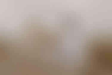 Fotoshooting Zingst – Ostseeurlaub Fischland Darß – Familienfotos Bentwisch – Familienfotograf Rostock – Fotoshooting an der Ostsee – Prerow – Kinderfotograf Barth – Familienportraits Bad Sülze – Monique Krüger Fotografie – Familienbilder Wustrow – Fotograf für Familien – Rövershagen – Fotoshooting Natur Marlow