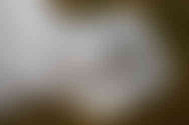 Hochzeitsfotograf Kühlungsborn – Hochzeitsfotografie Gut Groß Siemen – Landhochzeit Rostock – Heiraten im Schlosshotel Gamehl – freie Trauung im alten Pferdestall Fahren – Hochzeitsfotograf The Grand Heiligendamm – Heiraten im Standesamt Rostock – Hochzeitslocation Kühlungsborn und Umkreis – Fotograf Hochzeit Upstalsboom Kühlungsborn