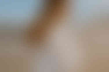 Wunderschön besticktes Brautkleid. Braut spaziert am Strand in Koserow.