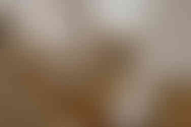 Ansprechend gedeckter Tisch für Hochzeit in Van der Valk Naturresort Drewitz. Fotograf begleitet Trauung an Mecklenburgischen Seenplatte. 