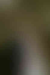 Brautpaarshooting in der Natur bei Malchow. Hochzeitsfotograf an der Mecklenburgische Seenplatte. Gefühlvolle Hochzeitsfotografie in MV