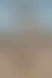 Rügener Fotografin begleitet Paare bei ihrer Hochzeit – moderne Hochzeitsfotos im Badekarren Binz – einmalig schöne Hochzeitsbilder in Vitt am Strand – sagt ja am Ostseestrand auf Rügen – einfühlsame Fotografin begleitet euch bei Trauung auf Rügen – Fotograf Strandhochzeit Sellin