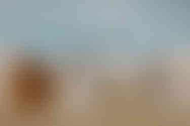 Braut und Bräutigam am Meer von Travemünde zwischen Strandkörben. Gefühlvolle Brautpaarfotografie in Scharbeutz und Umgebung.!