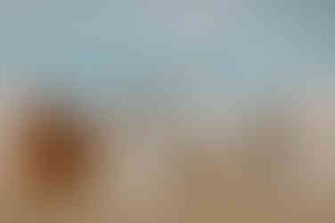 Fotograf für Hochzeit am Strand auf Rügen – Hochzeitsfotograf in Binz – unvergessliche Hochzeitsfotos am Ostseestrand – Hochzeit mit wunderschöner Blumendeko in Göhren – einzigartige Strandhochzeit in Baabe – aussergewöhnliche standesamtliche Trauung in Sassnitz