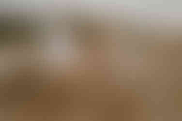 Familienfotos - Graal Mueritz – Famlienshooting – Fischlanddarß - Familienfotos Warnemünde- Familienfotografie Sanitz – Fotoshooting Dierhagen – Strandfotos Prerow – Kinderfotografie Darß – Familienshooting Zingst – Fotograf Markgrafenheide – Familienbilder Ostsee – Fotos mit Familie – Ostseeurlaub Ahrenshoop