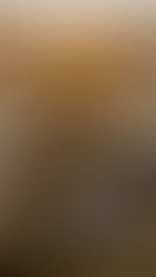 Fotograf in Neubrandenburg und Umgebung für zeitlose Bilder mit euren Liebsten! Buchbar für Familien, Neugeborene und Hochzeiten.