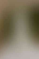 Scheunenhochzeit nahe Rostock – Hochzeitsfotograf für standesamtliche Trauung im Garten – Weddinglocation in Mecklenburg Vorpommern – gefühlvolle Hochzeitsfotografie an der Ostsee – Begleitung Hochzeit Gut Landsdorf – Heiraten unter freiem Himmel – Brautpaarshooting Gut Landsdorf – Hochzeitsfotografie bei Grimmen