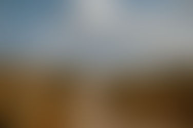 Familienshooting Baabe: kleiner Junge läuft freudig durch die Dünen auf die Ostsee zu.