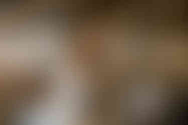 Ästhetische Hochzeitsreportage in Dierhagen: Eine ruhige, natürliche Trauung am Meer – authentische Hochzeitsfotografie zwischen Dünen und Ostseewind.