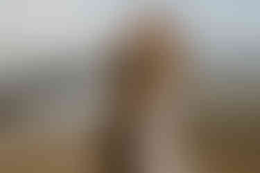 Leidenschaftlich küssendes Paar am Meer in MV. Zärtliche Paarfotografie in Wustrow und Ahrenshoop.