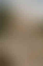 Hochzeitsfotograf Ostsee - Heiraten auf Hiddensee - Hochzeitsfotos Ruegen - Hochzeitsshooting Vitte - Standesamtliche Hochzeit Asta Nielsen Haus - Fotograf Hiddensee - Freie Strandtrauung Ostsee - Hochzeitsfotografie Binz, Selin, Göhren - Monique Krüger Fotografie - Ostseefotograf - Hiddenseehochzeit