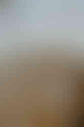 Hochzeitslocation auf Rügen : gedeckter Tisch bei lockerer Strandhochzeit in Baabe.