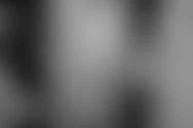 Brautpaar wird liebevoll von der Familie in Stralsund beglückwünscht. 