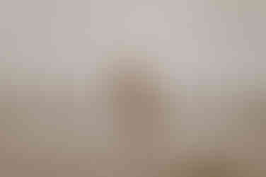 Intime Paarfotografie am Strand in Glowe. Pärchen steht in den Wellen der Ostsee. Ein Fotoshooting in Glowe oder Umgebung für eure Erinnerungen.