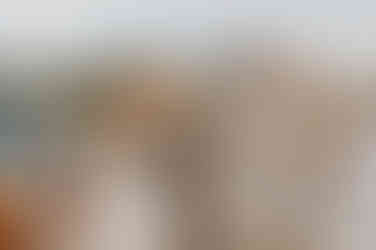 Freie Trauung Rostock – Strandhochzeit Fischlanddarß – Elopementhochzeit Rügen – Heiraten am Strand – Binz – Hochzeitsfotograf Warnemünde – Hochzeitsshooting Zingst – Hochzeit im Schloss Ulrichshusen – Mecklenburg Vorpommern – Hochzeitsfotografie – Hochzeitsplaner Insel Rügen – Brautstrauß Ahlbeck – Frisör Braut Rostock – freie Trauung Garten Stralsund – Hochzeitsfotos Neubrandenburg – Ostseehochzeit Kühlungsborn – Hochzeitsplanung Warnemünde