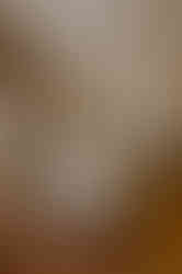 Hochzeitsfotograf Schleswig Holstein – Heiraten in Flensburg – Fotograf Hochzeit Kiel – Hochzeitsshooting auf Fehmarn – Hochzeitsreportage in Heiligenhafen – Ganztageshochzeit Fotografie Lübeck – Hochzeitsfotograf Norddeutschland – Hochzeitslocation Ostsee – Fotograf Hochzeit in Eckernförde