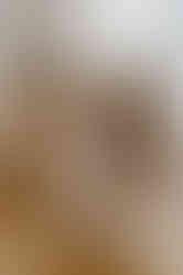 Familienfotos in Stralsund : Eltern spielen ausgelassen mit ihren Kindern 