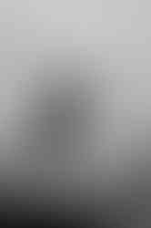 Hochzeitsfotograf Schloss Bothmer Klütz – Hochzeitsfotografie Rerik – Trauung Wismar – Standesamt Boltenhagen – Fotograf Hochzeit Insel Poel – freie Trauung Ostsee – Hochzeitsplanerin Strandhochzeit – Hochzeitsfotograf Norddeutschland – Destinationwedding - Elopement Baltic Sea – Hochzeitsfotos Boltenhagen