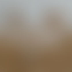 Lebendiges Familienshooting am Strand auf Usedom. Familienfotograf für natürliche Fotoshootings in Ahlbeck, Heringsdorf, Zinnowitz...