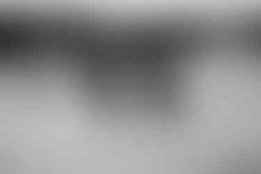 Fotoshooting mit Rauchbomben in Lütow auf Usedom. Verliebtes Pärchen steht händehaltend in den Wiesen, hinter ihnen zieht Rauch vorbei.