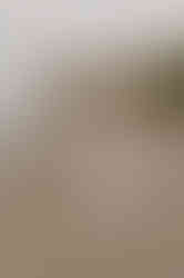 Hochzeitsfotograf Rettungsturm Binz – Hochzeitsshooting Rügen – Hochzeitsfotograf Göhren – freie Trauung Ostsee – Strandhochzeit Sellin – Hochzeit im Herrenhaus Bothmer – Fotograf Trauung Schloss Ralswiek – Hochzeitsfotograf Gutshaus Krimvitz– Hochzeitsplaner Rügen – Heiraten am Kap Arkona – Hochzeitsfotografie Ummanz – Trauung Kurhaus Binz – Monique Krüger Fotografie