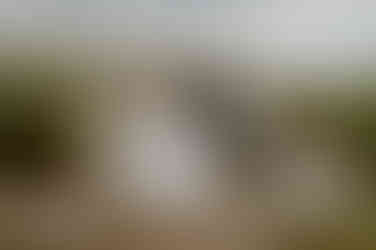 Schweriner Hochzeitsfotograf begleitet eure Landhochzeit - Brautpaar spaziert verliebt am See in Nakenstorf - Sommerhochzeit bei Wismar